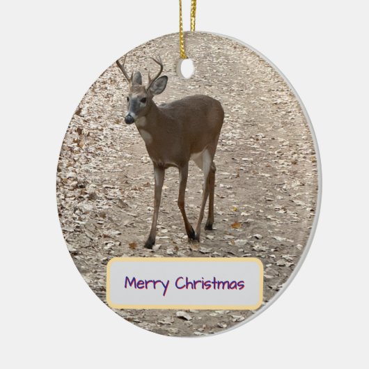Deer Photo Ornament (Links)
