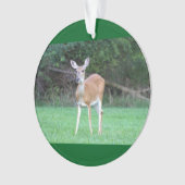 Deer Photo Ornament (voorkant)