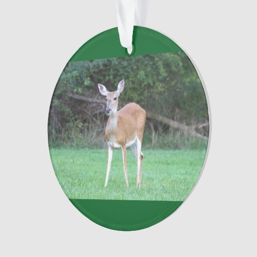 Deer Photo Ornament (voorkant)