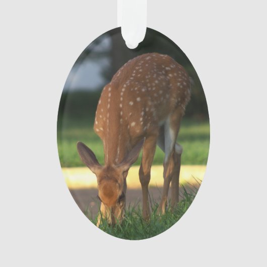 Deer Photo Ornament (voorkant)