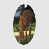 Deer Photo Ornament (voorkant)
