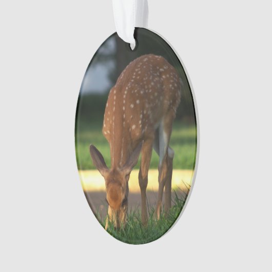 Deer Photo Ornament (voorkant)