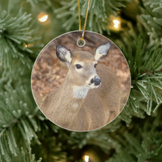 Deer Photo Ornament 