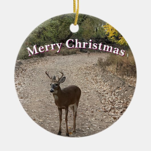 Deer Photo Ornament (Voorkant)