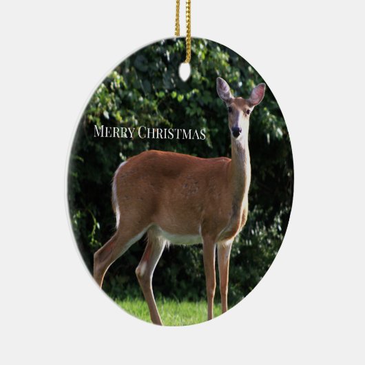 Deer Photo Ornament (Rechts)