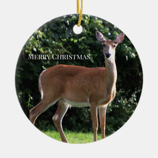 Deer Photo Ornament (Voorkant)