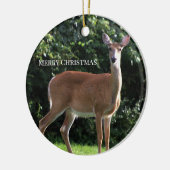 Deer Photo Ornament (Links)