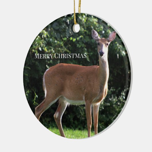 Deer Photo Ornament (Links)
