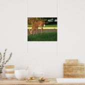 Deer Photo Poster (Keuken)