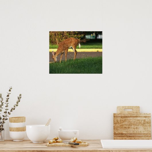 Deer Photo Poster (Keuken)