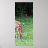 Deer Photo Poster (Voorkant)
