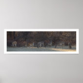 Deer Photo Poster (Voorkant)