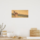Deer Photo Poster (Keuken)