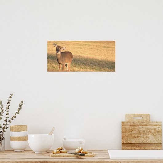 Deer Photo Poster (Keuken)