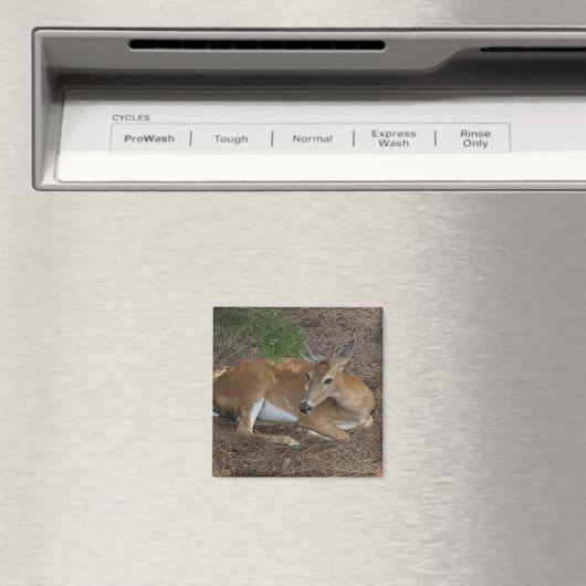 Deer Photo Square Magnet (Insitu (Vaatwasser))