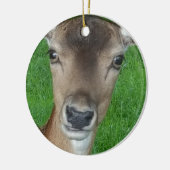 Deer Portret Fotografie Wildlife Keramisch Ornament (Links)