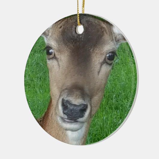 Deer Portret Fotografie Wildlife Keramisch Ornament (Links)