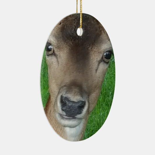 Deer Portret Fotografie Wildlife Keramisch Ornament (Rechts)