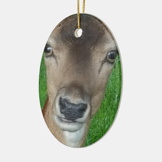 Deer Portret Fotografie Wildlife Keramisch Ornament (Links)