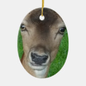 Deer Portret Fotografie Wildlife Keramisch Ornament (Voorkant)