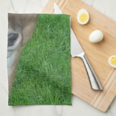 Deer Portret Fotografie Wildlife Theedoek (Quarter Fold)