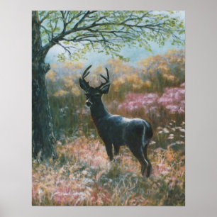 Deer Poster