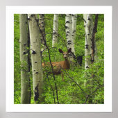 Deer Poster (Voorkant)