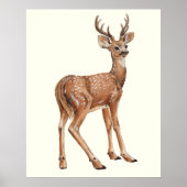 Deer Poster (Voorkant)