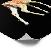 Deer Poster (Hoek)