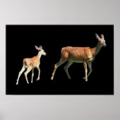 Deer Poster (Voorkant)