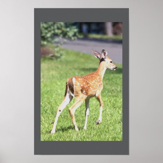 Deer Poster (Voorkant)