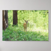 Deer Poster (Voorkant)