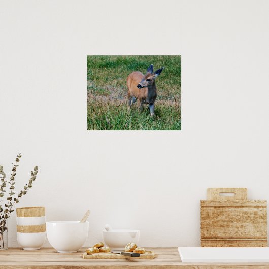 Deer Poster (Keuken)
