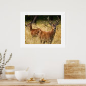Deer Poster (Keuken)