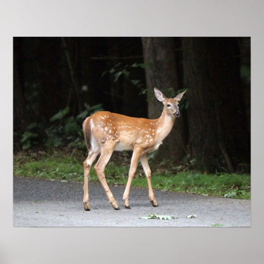 Deer Poster (Voorkant)