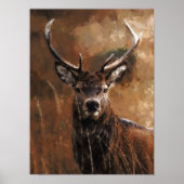 Deer Poster (Voorkant)
