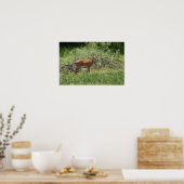 Deer Poster (Keuken)
