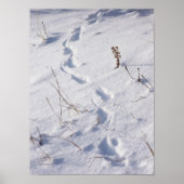 Deer Prints Snow Poster (Voorkant)
