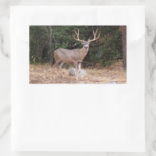 Deer Rectangle Sticker (Tas)