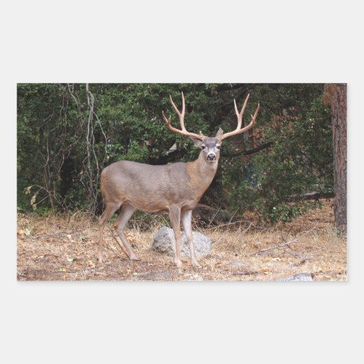 Deer Rectangle Sticker (Voorkant)