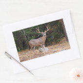 Deer Rectangle Sticker (Envelop)