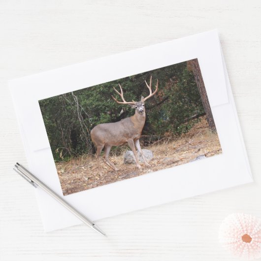 Deer Rectangle Sticker (Envelop)