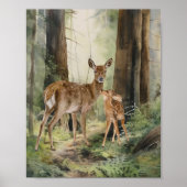Deer Redwood Forest Waterverf Poster (Voorkant)
