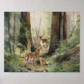 Deer Redwood Forest Waterverf Poster (Voorkant)