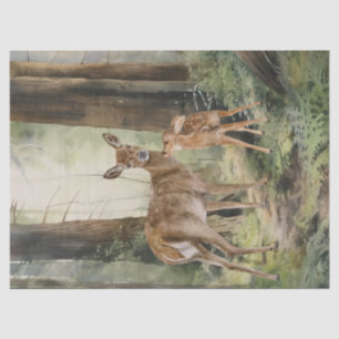 Deer Redwood Forest Waterverf Tissuepapier