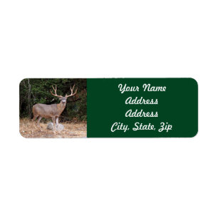 Deer Return Address Sticker