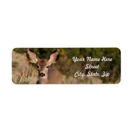 Deer Return Address Sticker (Voorkant)