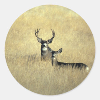 Deer Ronde Sticker