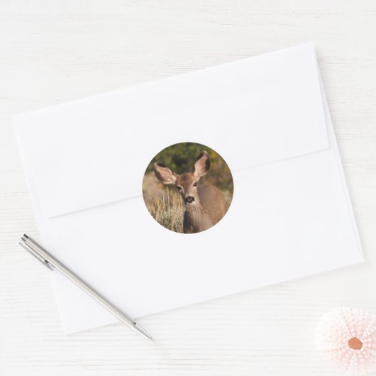Deer Round Sticker (Envelop)