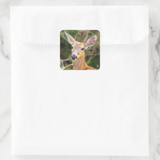 Deer Seal / Sticker / Label (Tas)